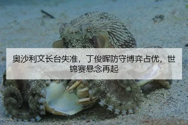 ao-sha-li-wen-zhang-tai-shi-zhun-ding-jun-hui-fang-shou-bo-yi-zhan-you-shi-jin-sai-xuan-nian-zai-qi-2-500.jpg