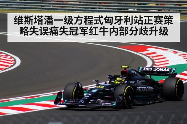 维斯塔潘一级方程式匈牙利站正赛策略失误痛失冠军红牛内部分歧升级