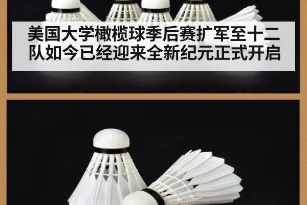 美国大学橄榄球季后赛扩军至十二队如今已经迎来全新纪元正式开启